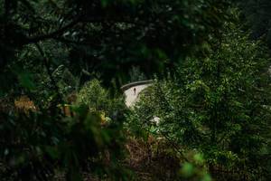 BIB: 
                            <button type="button" onclick="openModal(26297342)" class="btn btn-primary btn-sm float-right btn-popup" data-toggle="modal" data-target=".modal-high-quality">
                        <i class="fas fa-shopping-cart"></i> Add to Cart
                    </button>
                                            <button type="button" onclick="isThisMe(26297342, true)" class="btn btn-success btn-sm float-right btn-popup btn-isme hidden" data-toggle="tooltip" data-placement="bottom" title="นี่คือรูปของคุณใช่ไหม คลิกที่นี่เพื่อเอาเข้าอัลบั้ม">
                        <i class="fas fa-plus"></i> Add to album
                    </button>
                    <button type="button" onclick="isThisMe(26297342, false)" class="btn btn-warning btn-sm float-right btn-popup btn-isnotme hidden">
                        <i class="fas fa-ban"></i> Remove from album
                    </button>